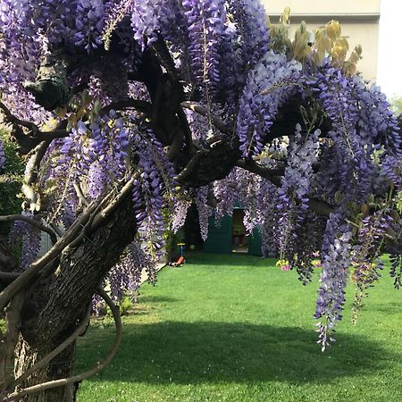 Villa Marlene B&B Αλμπένγκα Εξωτερικό φωτογραφία