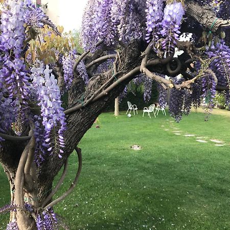 Villa Marlene B&B Αλμπένγκα Εξωτερικό φωτογραφία