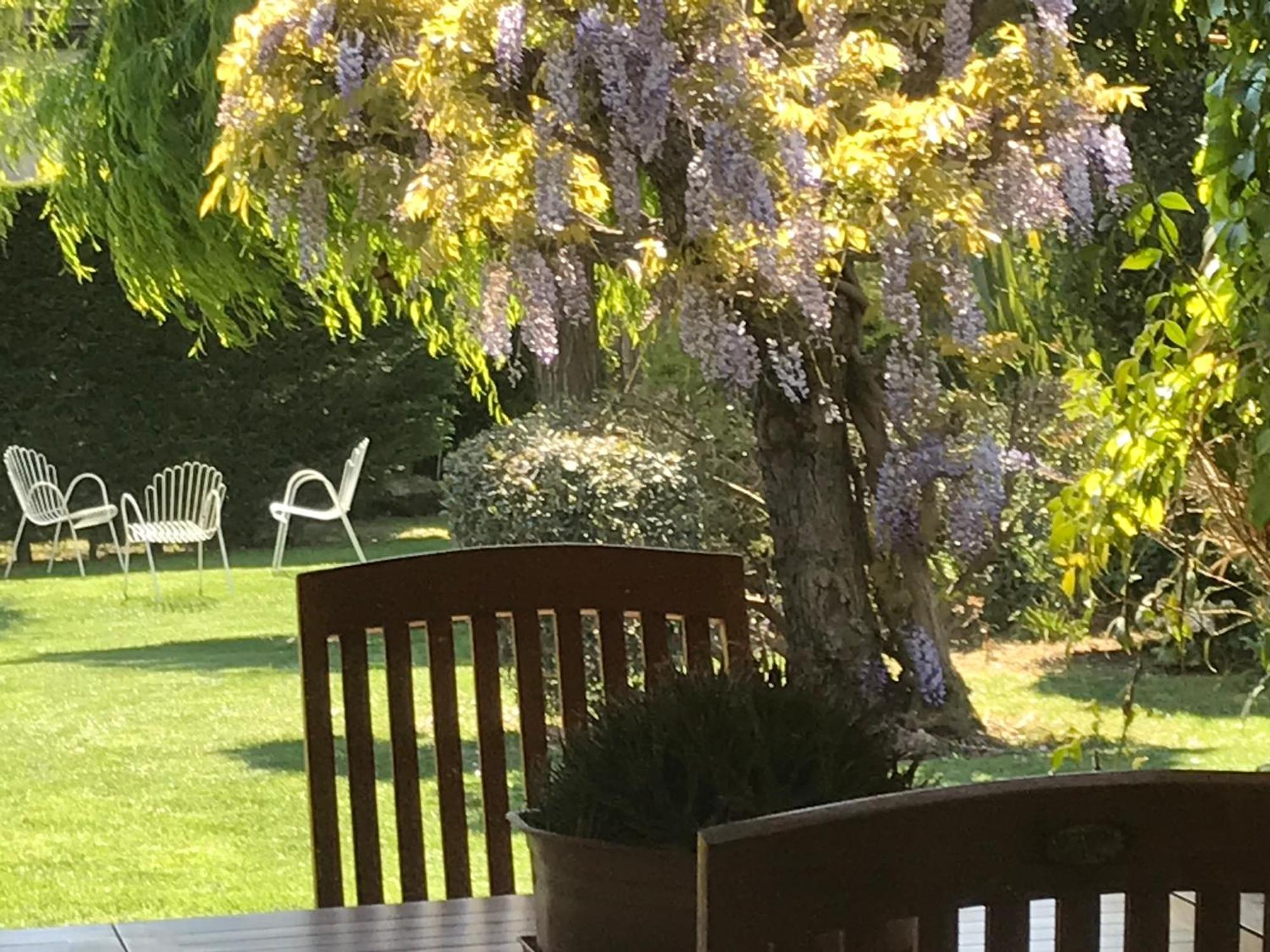 Villa Marlene B&B Αλμπένγκα Εξωτερικό φωτογραφία