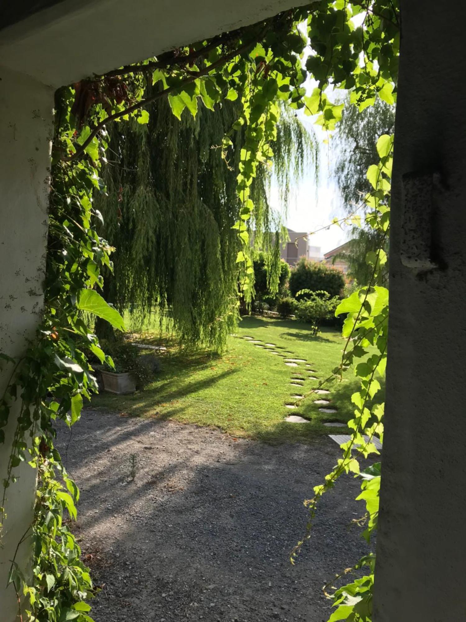 Villa Marlene B&B Αλμπένγκα Εξωτερικό φωτογραφία