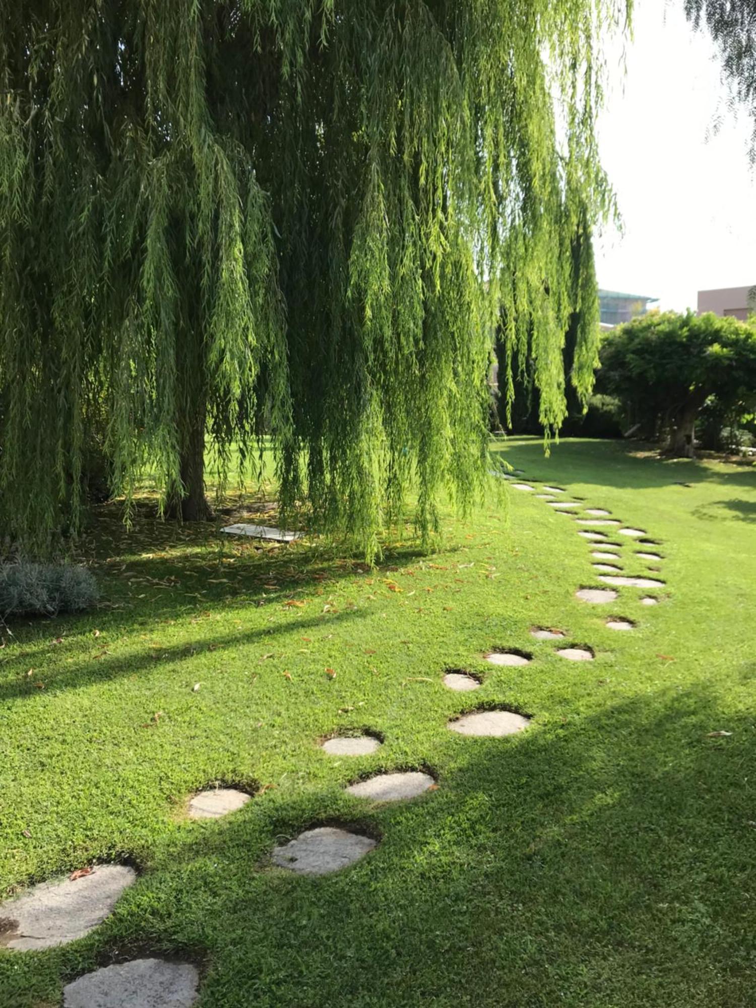 Villa Marlene B&B Αλμπένγκα Εξωτερικό φωτογραφία