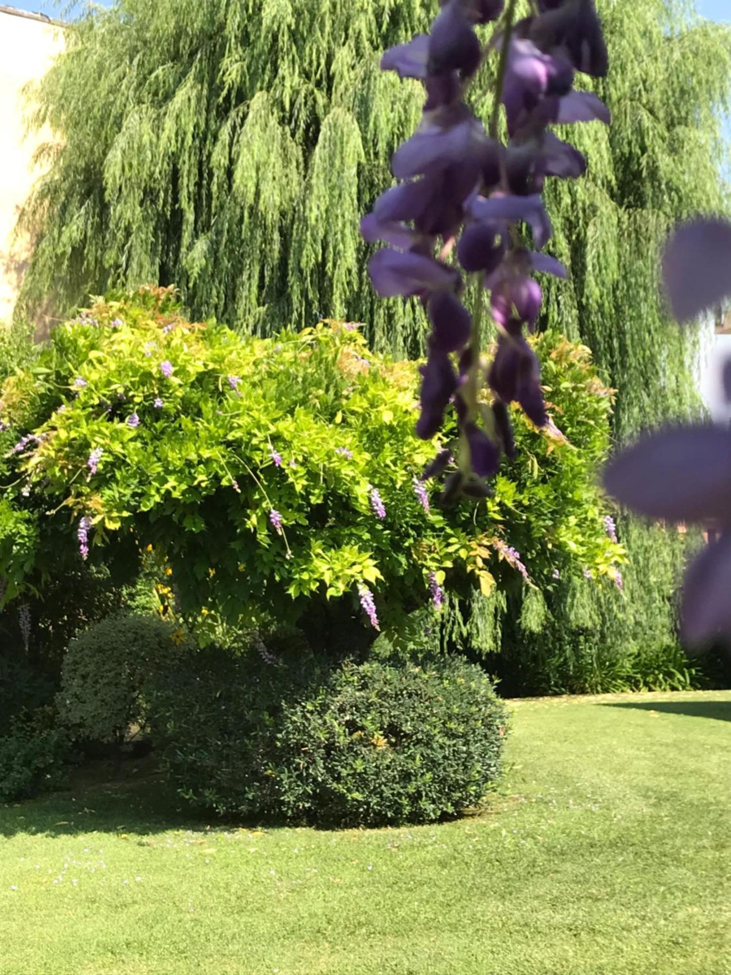 Villa Marlene B&B Αλμπένγκα Εξωτερικό φωτογραφία