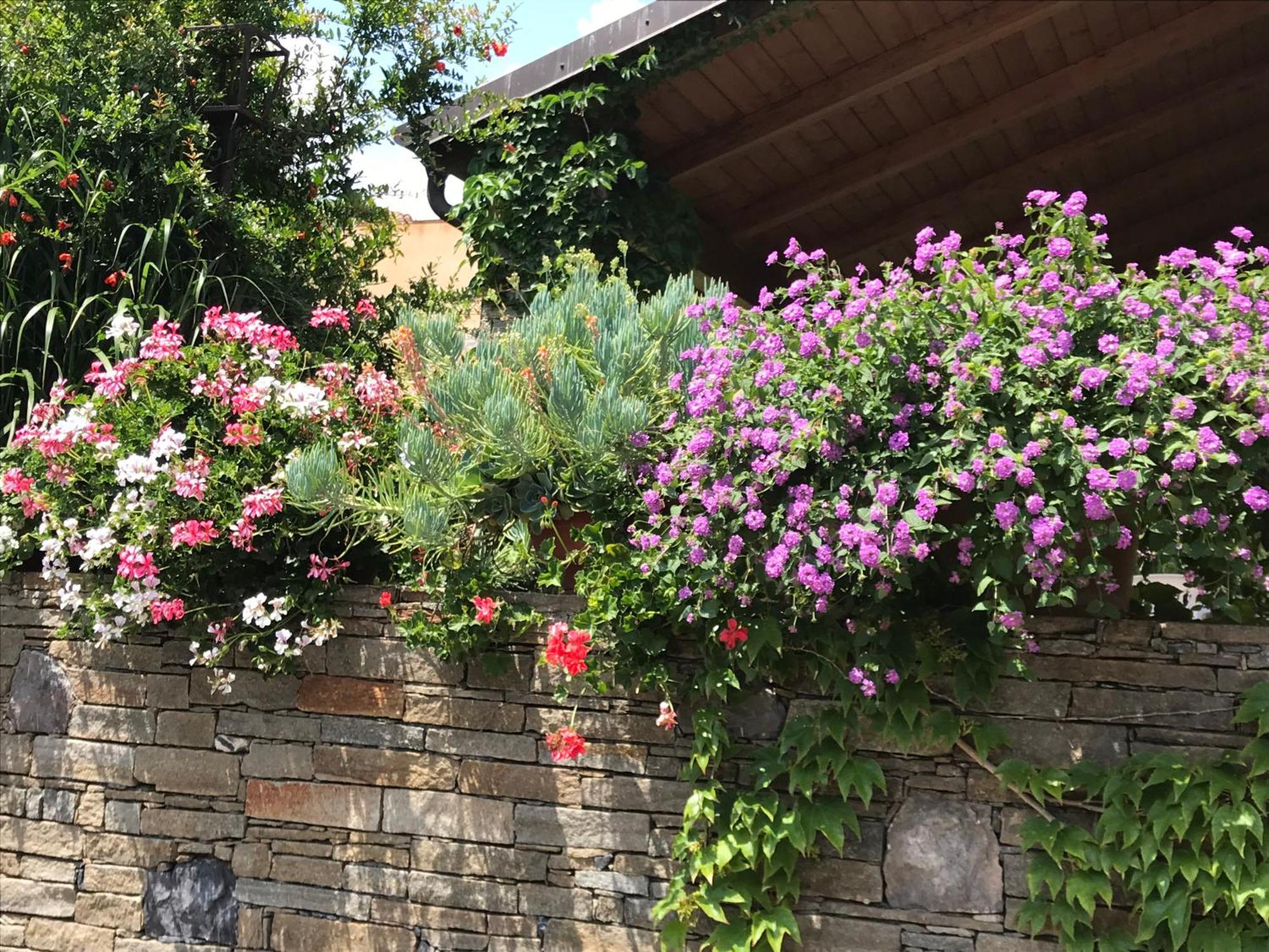Villa Marlene B&B Αλμπένγκα Εξωτερικό φωτογραφία